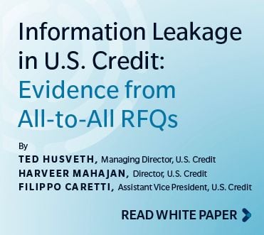 US Credit Information Leakage Whitepaper promo graphic