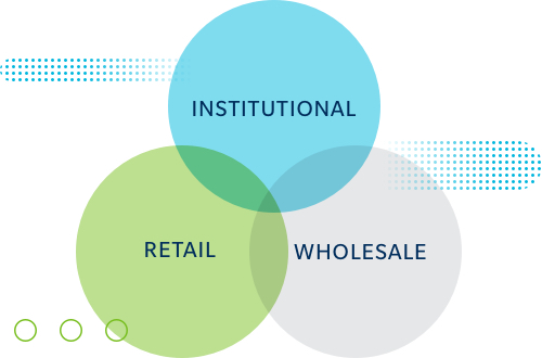 infographic of our institutional, retail and wholesale businesses